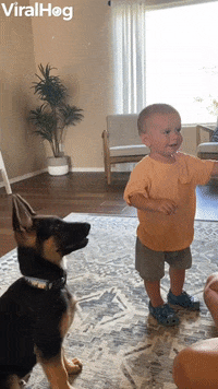 Baby Puppy GIF by ViralHog