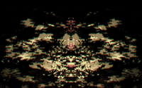 GIF by Leo Pyrata