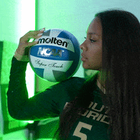 South Florida Volleyball GIF by USF Athletics