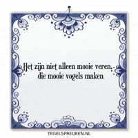 Nl Wijsheid GIF by Tegelspreuken.nl