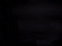 Javydade GIF by 47 Republic
