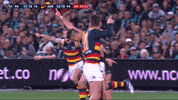 Afl Memories GIF by Adelaide Crows