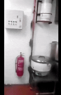 GIF by Mashable