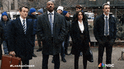 Nbc Team GIF by Law & Order