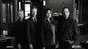 Law And Order Episode 3 GIF by NBC