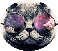 cat pink STICKER