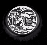 TopoChicoUSA mexico monterrey sparkling water mineralwater GIF