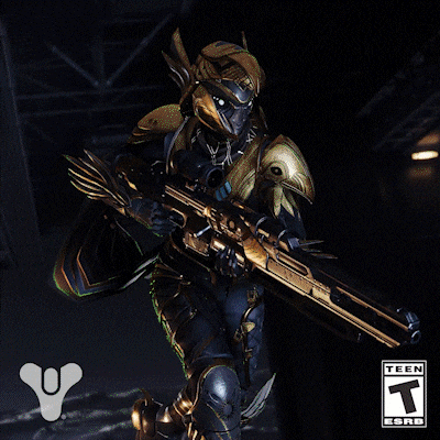 Destiny 2 Pvp GIF by DestinyTheGame