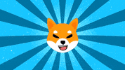 Shiba GIF by SHIB MEMES