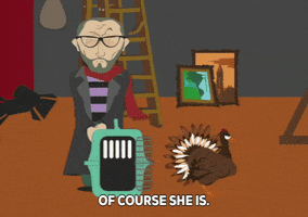 turkey cage GIF by South Park 