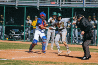 Baseball GIF by TCABB