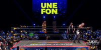 luchalibreaaa  GIF