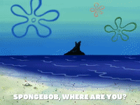 season 6 GIF by SpongeBob SquarePants