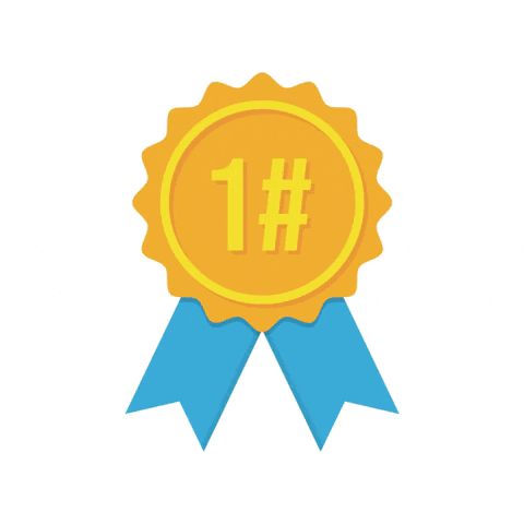 WorldSkillsNL skills goud medals eerste GIF