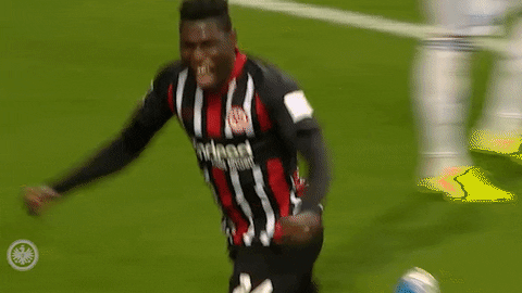Sge Outburst GIF by Eintracht Frankfurt