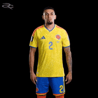 Fifa World Cup Colombia GIF by Respective