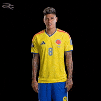 Fifa World Cup Colombia GIF by Respective