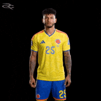 Fifa World Cup Colombia GIF by Respective