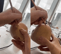 Create Making-Of GIF by Alex Boya