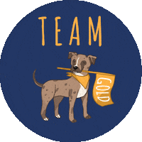 Mpr Sticker by Muddy Paws Rescue NYC