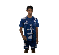 Hand Recherche Sticker by GRAND BESANÇON DOUBS HANDBALL