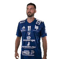 Happy Hand Sticker by GRAND BESANÇON DOUBS HANDBALL