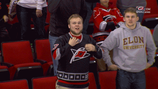 Canes Fan GIF