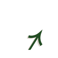 Check This Green Arrow Sticker by vitaveg eco packaging