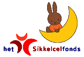 Baby Moon Sticker by nijntje/miffy