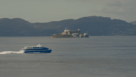 Bay Area GIF by Aerial Canvas