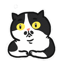 J9Zdoraxiu Sticker