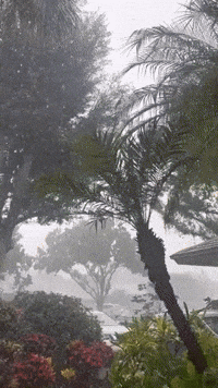 Storm Drenches South Florida