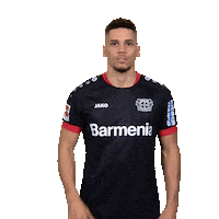 Bayer 04 Football Sticker by Bundesliga