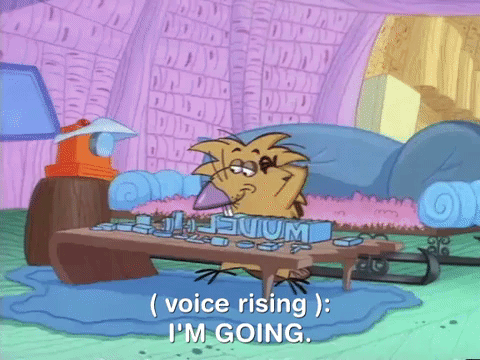 nickrewind giphydvr nicksplat angry beavers giphyab010 GIF