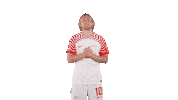 Football What Sticker by RB Leipzig