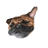 formhouston lagreehouston Sticker by The Studio FORM