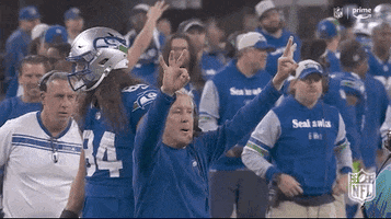 National Football League GIF by NFL