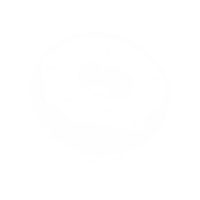 Visa Card Donut Sticker by Fampay India