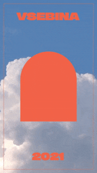 sticnamladih 2021 sm sticna stična mladih GIF