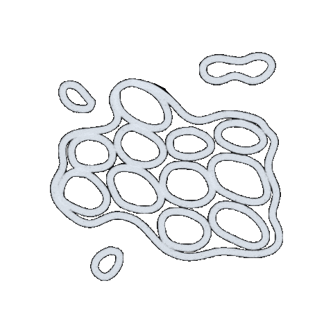 Ipaw Sticker by PPTA Global