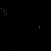 Art Vintage GIF by kadavre exquis