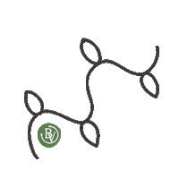 Christmas Lights Sticker by BottegaVerde