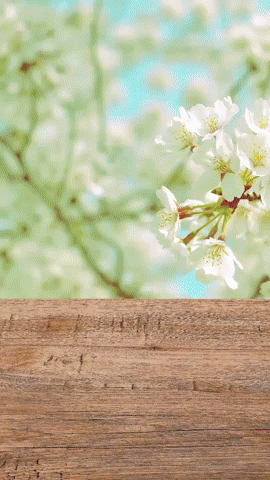 Cannabis business owners!!