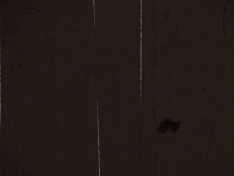 brentfaulkner giphyupload music video pop john duff GIF