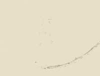disney princess beauty GIF by Disney