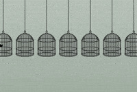 Animation Bird GIF by braindead.gif