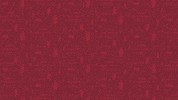 Soccer Futbol GIF by Sacramento Republic FC