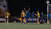 Celebration Goal GIF by Football Australia