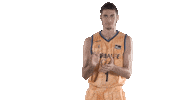 Liga Endesa Basketball Sticker by ACB