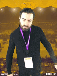 wkcdogshow GIF by Westminster Kennel Club